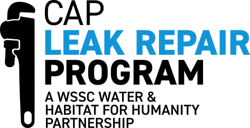 cap leak dectection program